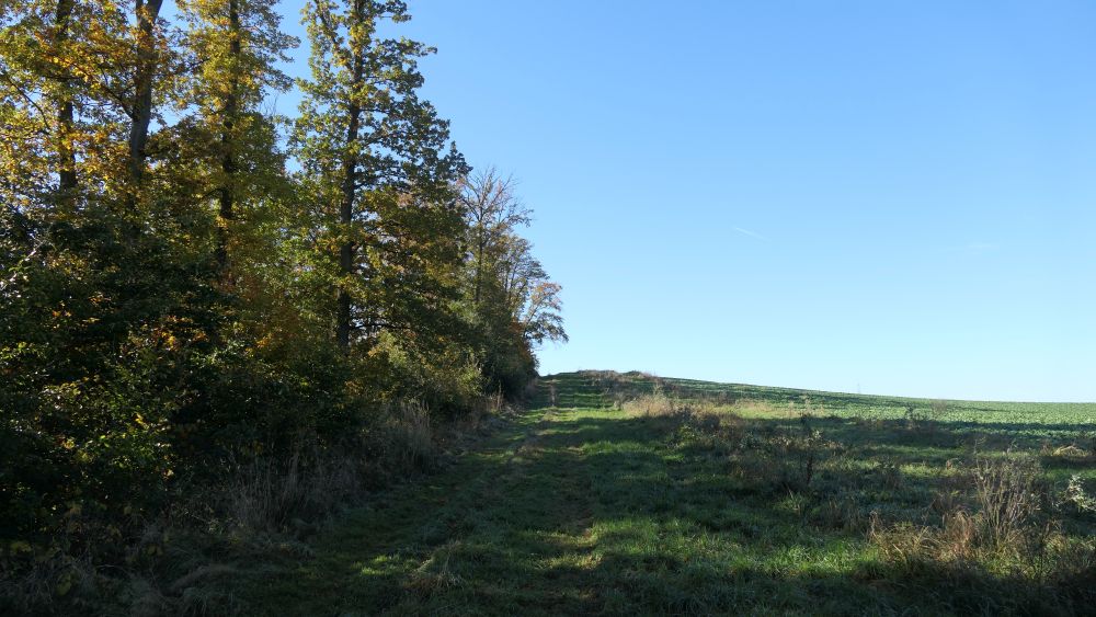 Weserberglandweg