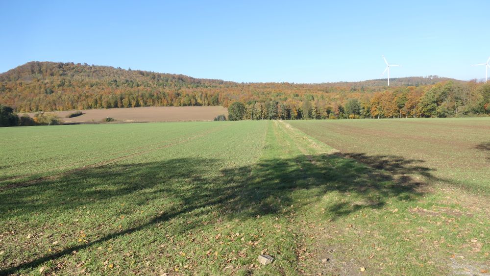 Weserberglandweg