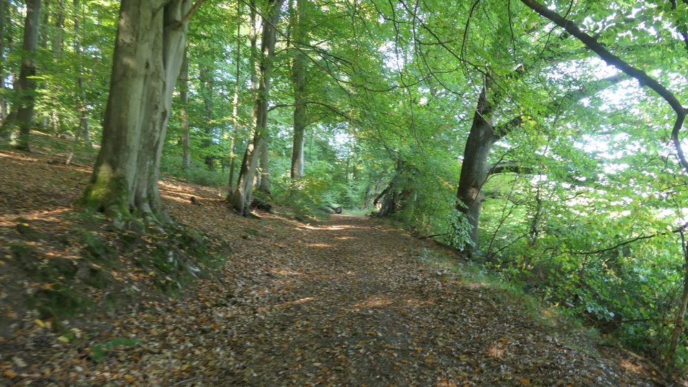 Weserberglandweg