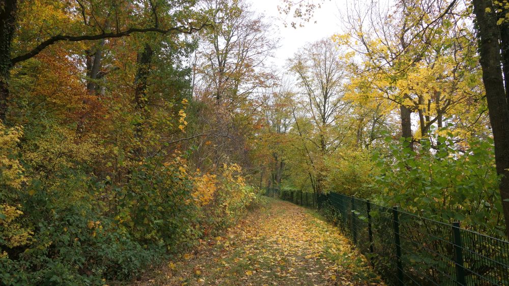 Weserberglandweg
