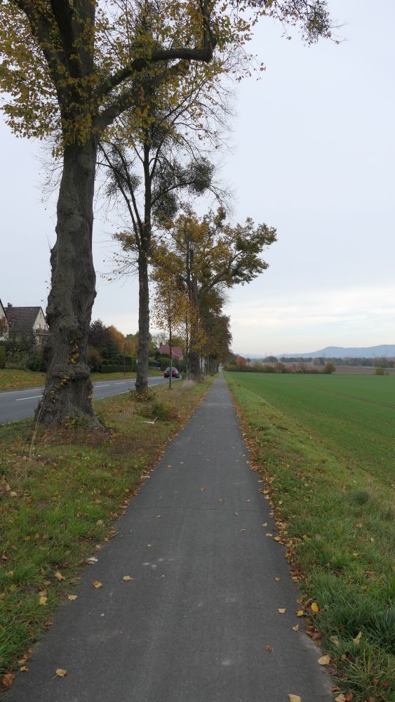 Weserberglandweg