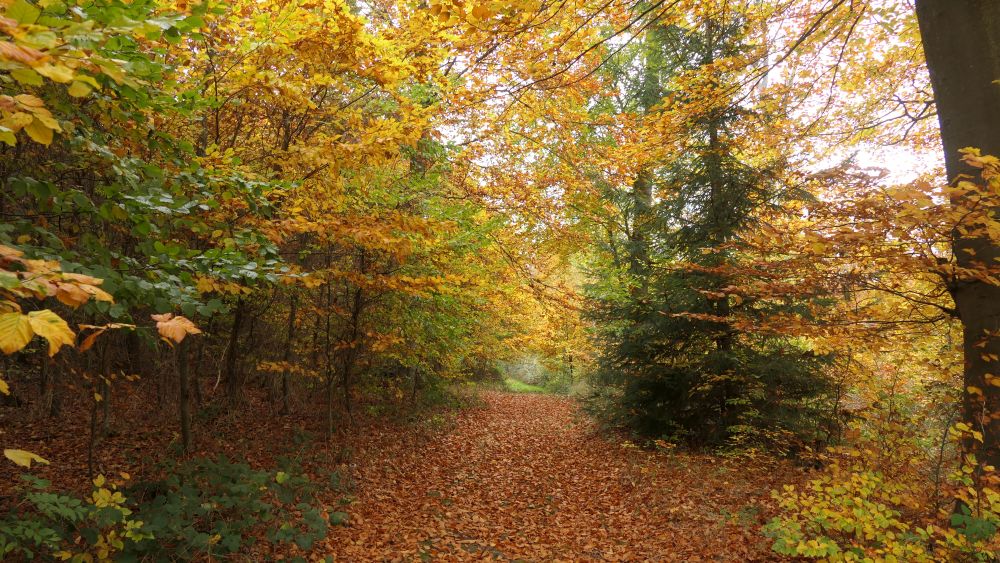 Weserberglandweg