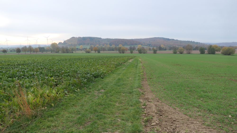 Weserberglandweg