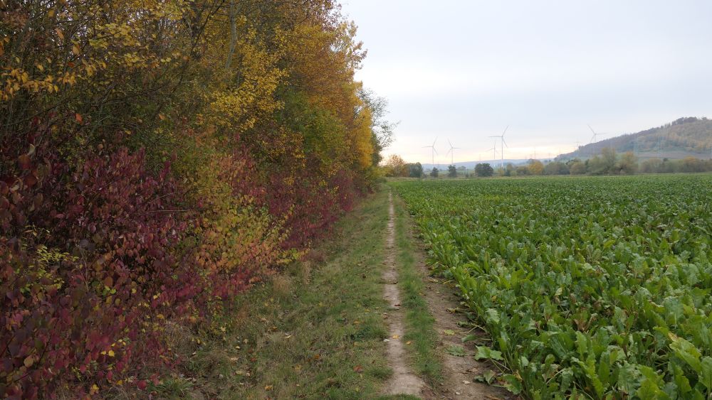 Weserberglandweg