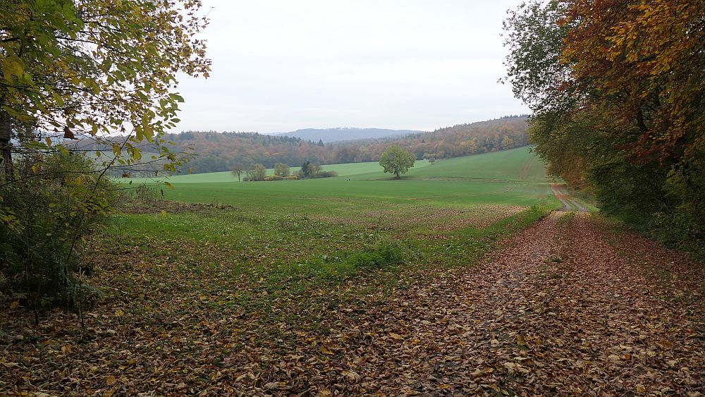 Weserberglandweg
