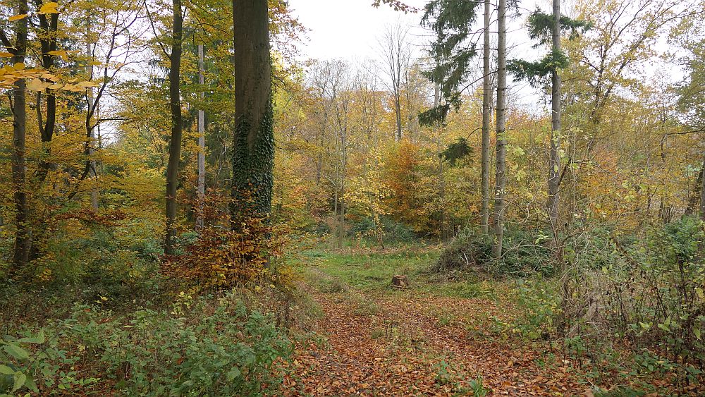 Weserberglandweg