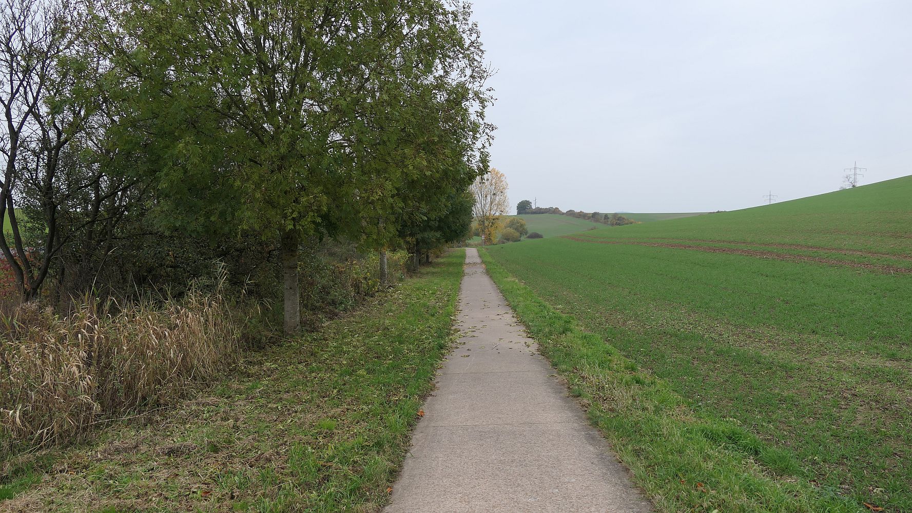 Weserberglandweg