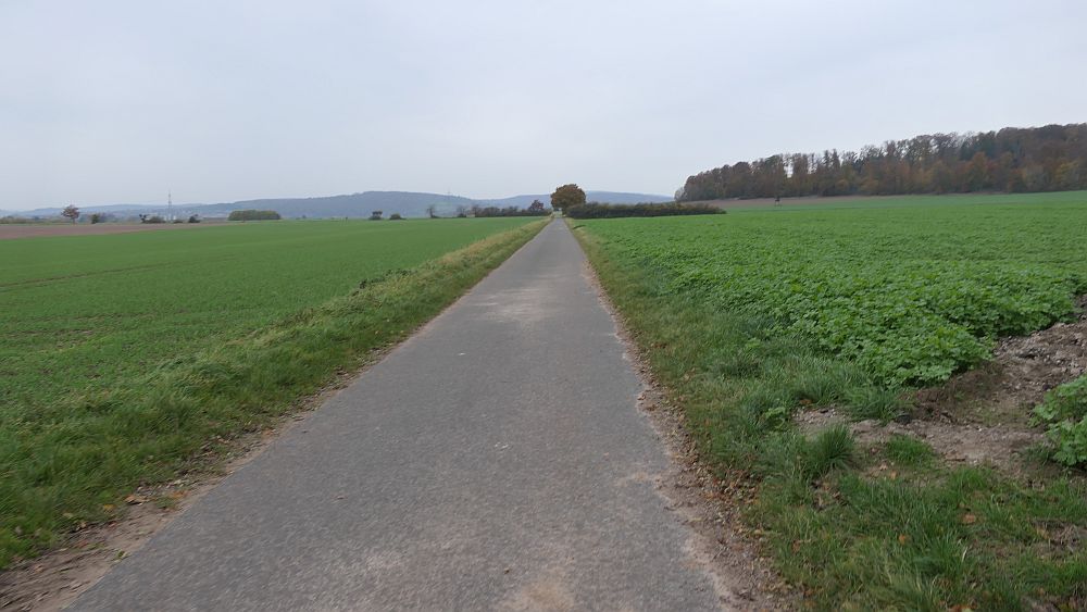 Weserberglandweg