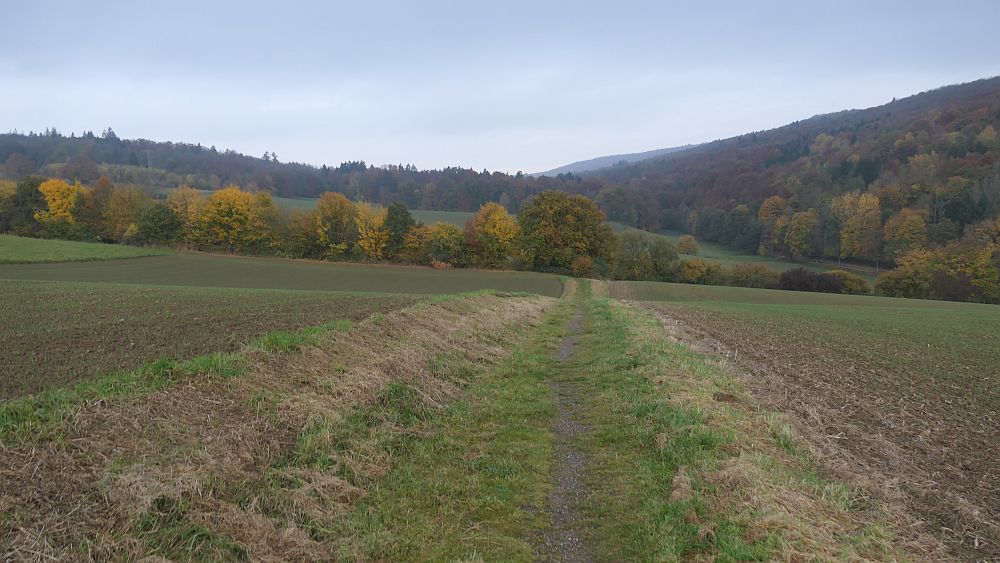 Weserberglandweg