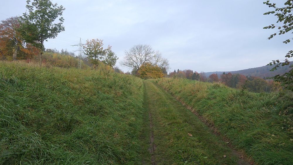 Weserberglandweg