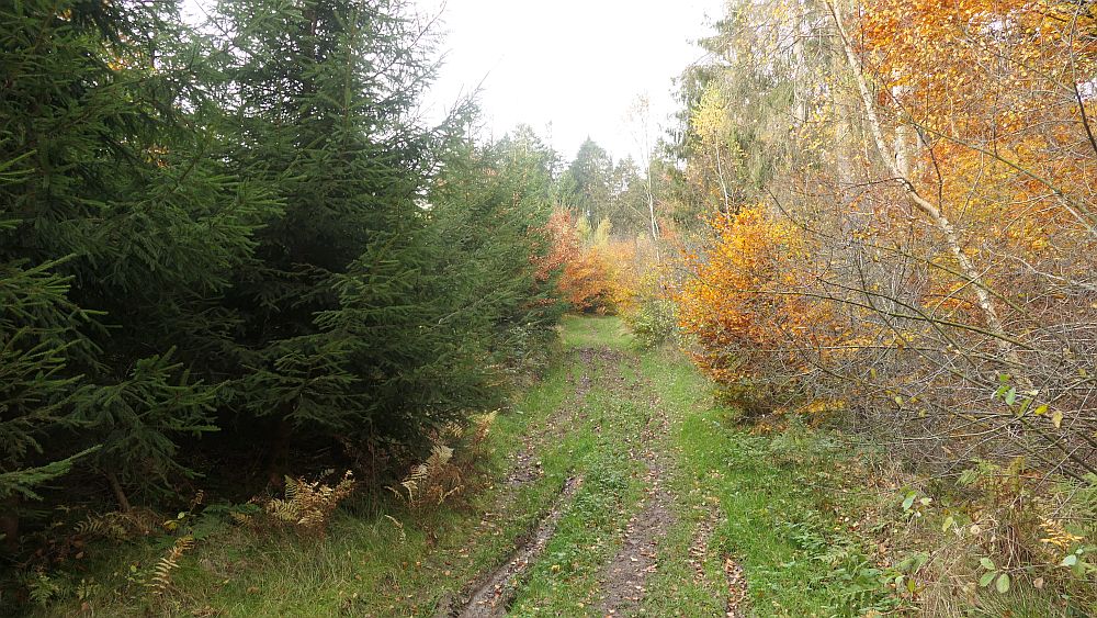 Weserberglandweg