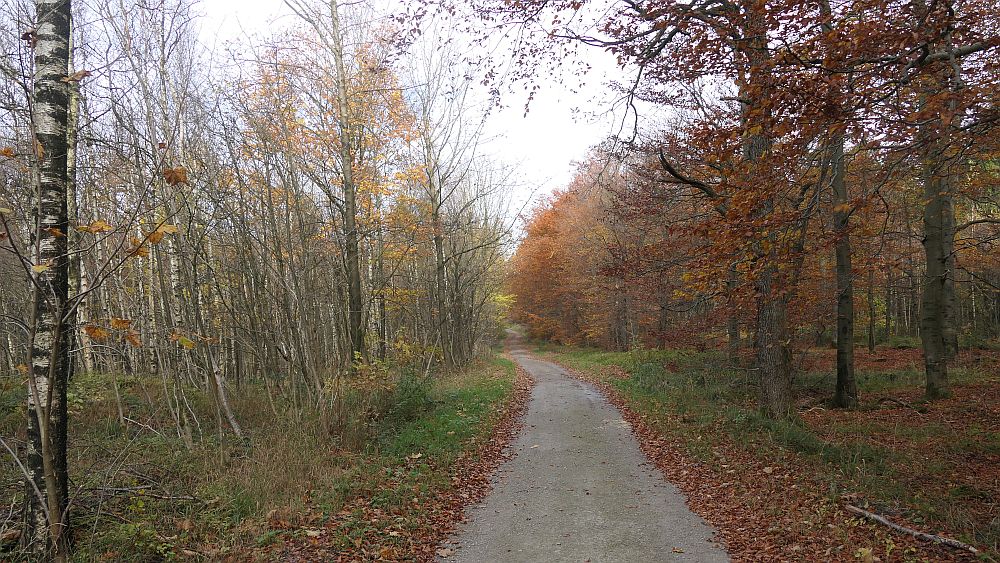 Weserberglandweg