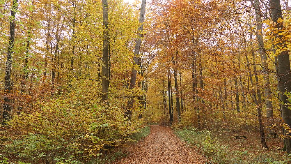 Weserberglandweg
