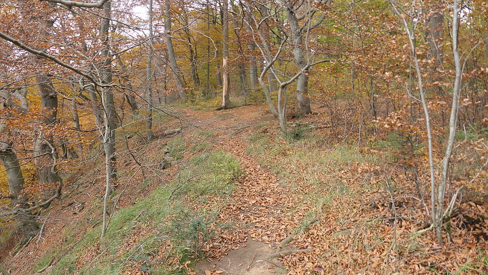 Weserberglandweg