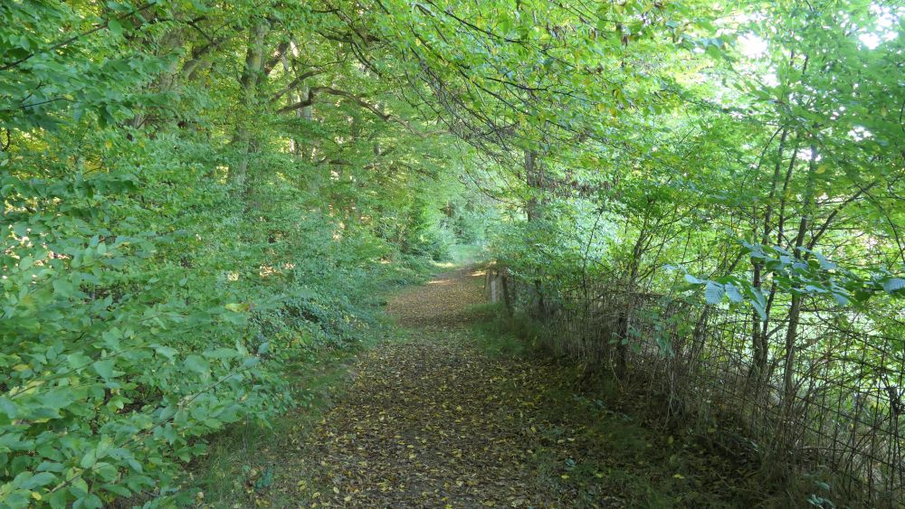 Weserberglandweg