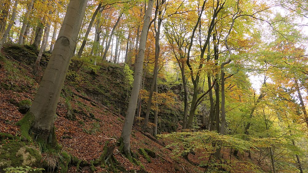 Weserberglandweg