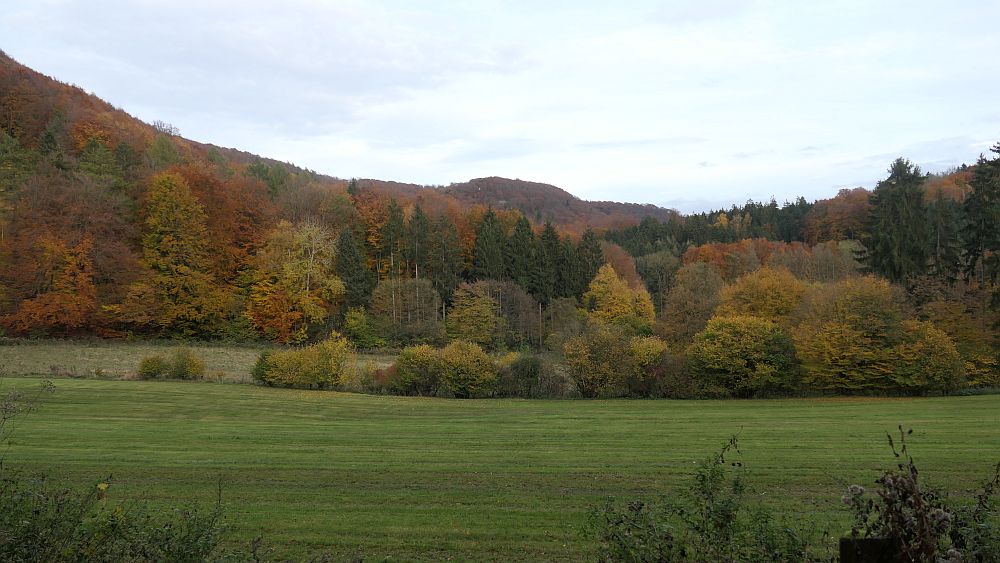 Weserberglandweg