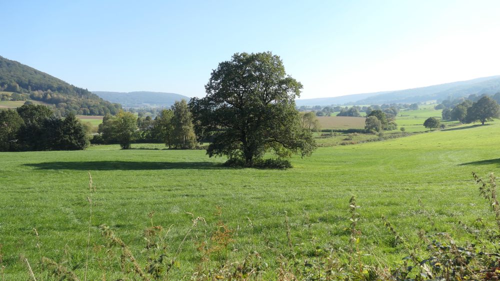 Weserberglandweg