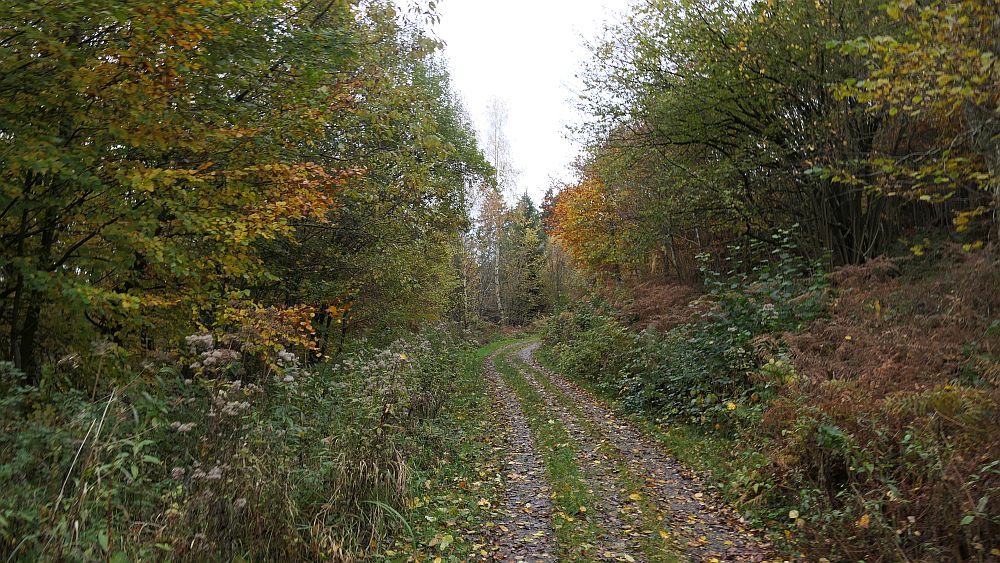 Weserberglandweg