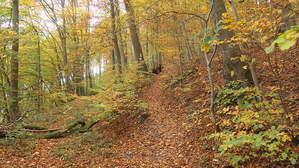 Weserberglandweg