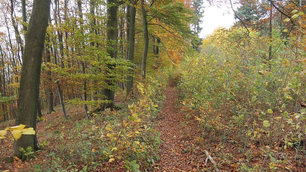 Weserberglandweg
