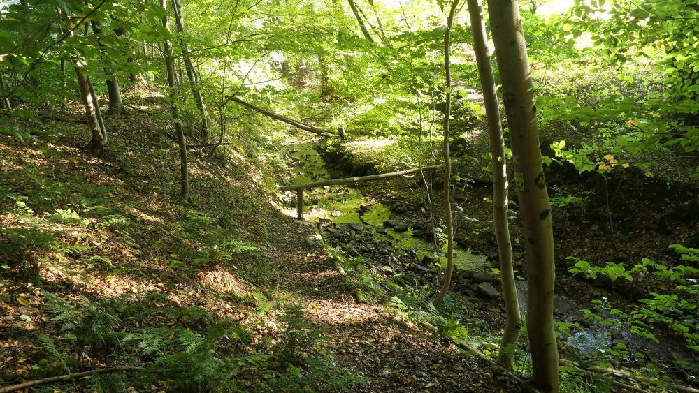Weserberglandweg