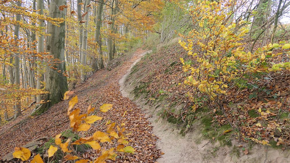 Weserberglandweg