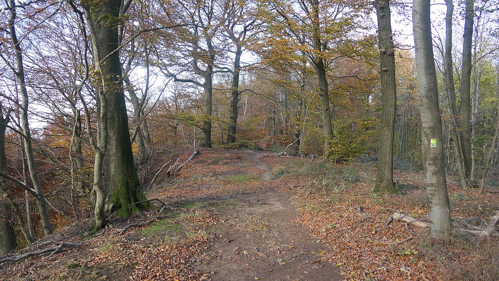 Weserberglandweg
