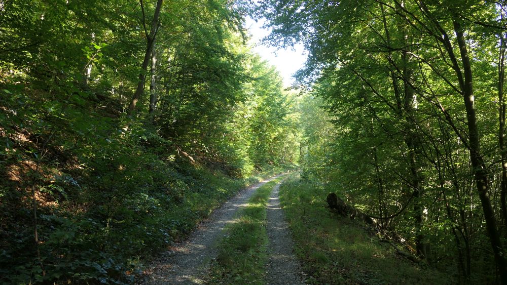 Weserberglandweg