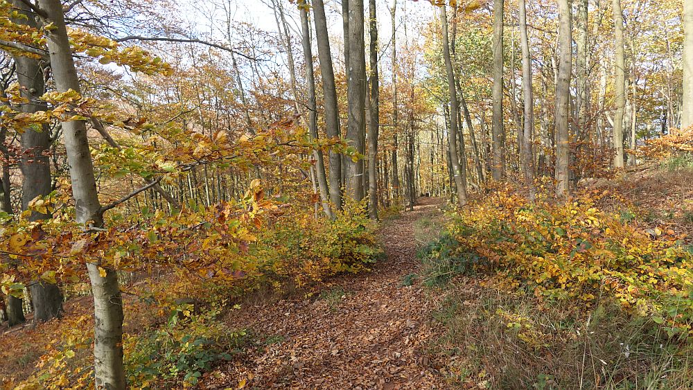 Weserberglandweg