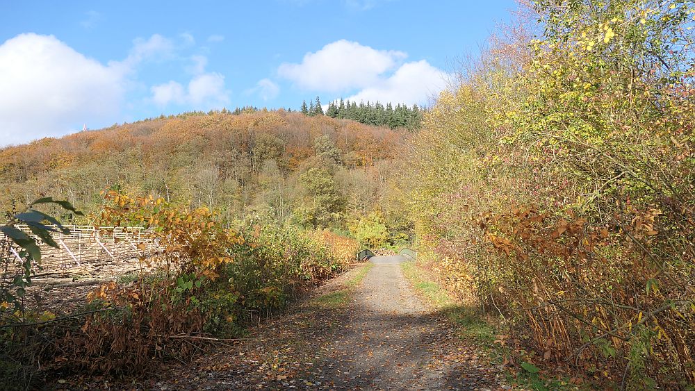 Weserberglandweg