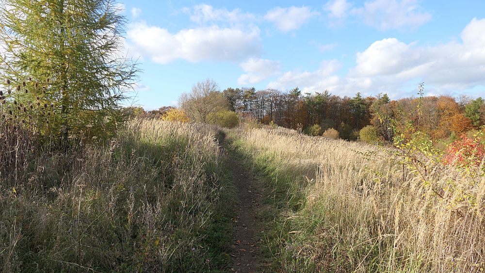 Weserberglandweg