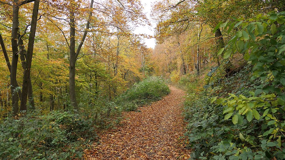Weserberglandweg