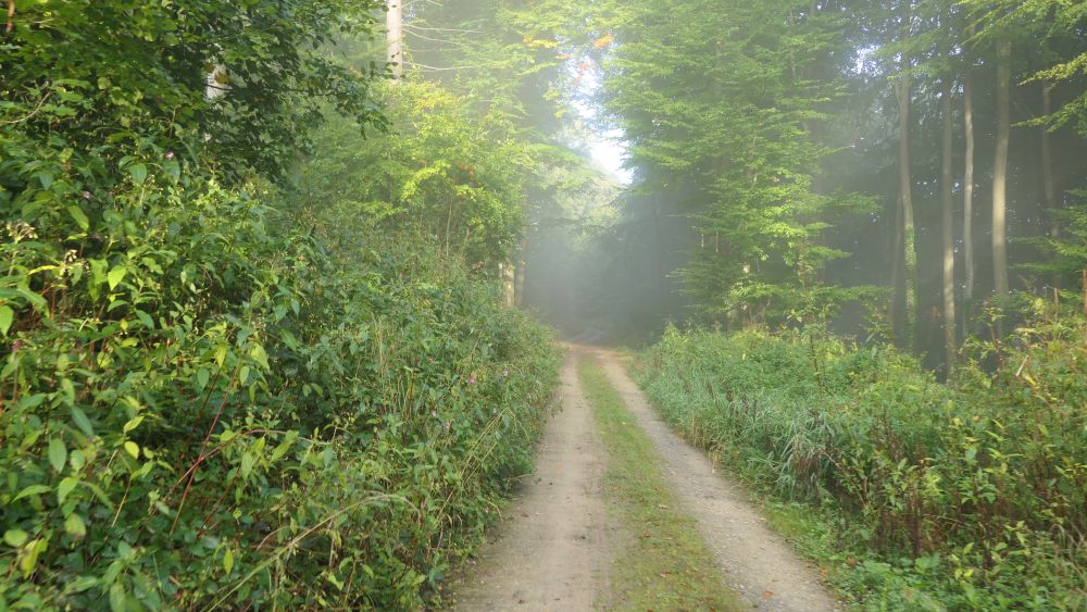 Weserberglandweg