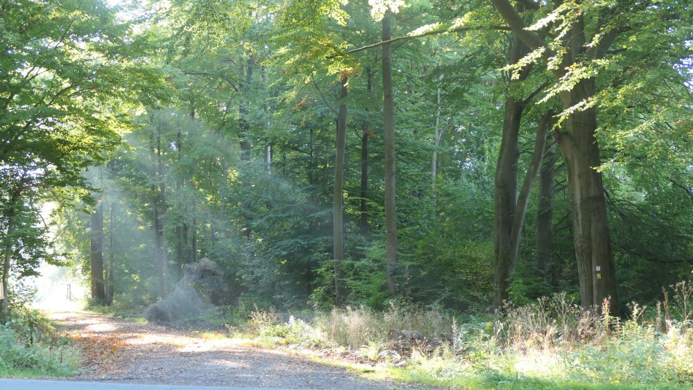 Weserberglandweg