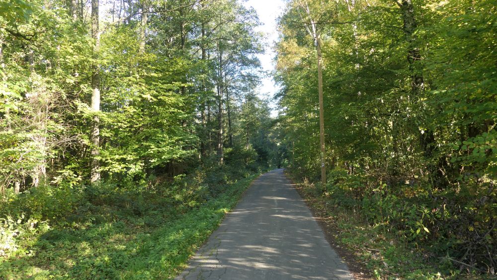 Weserberglandweg