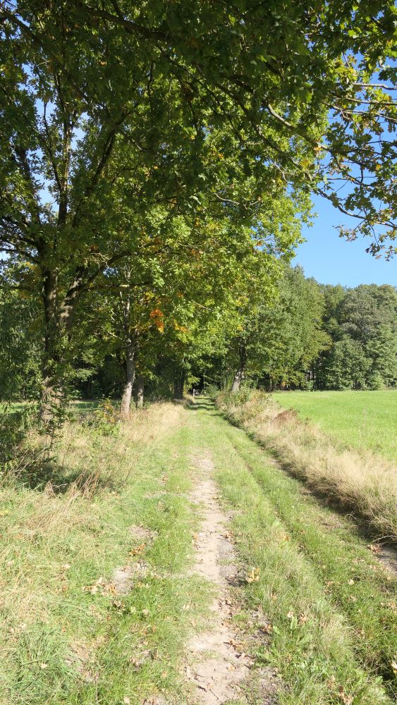 Weserberglandweg
