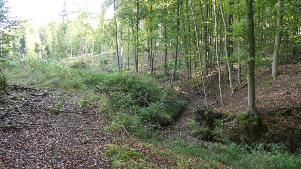 Weserberglandweg