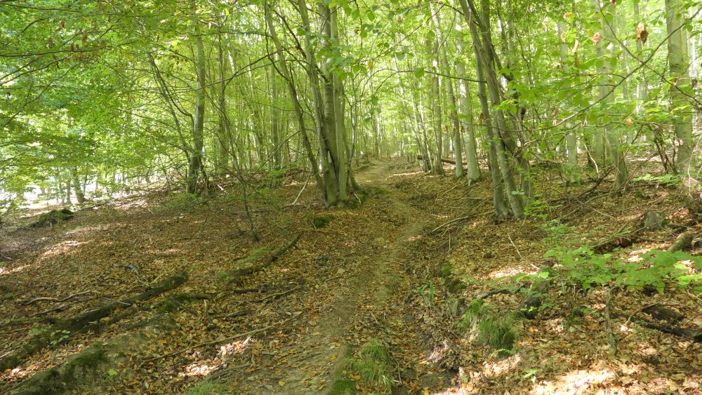 Weserberglandweg
