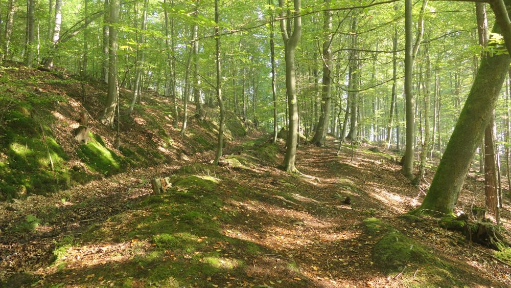 Weserberglandweg