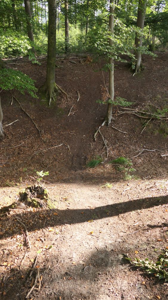 Weserberglandweg