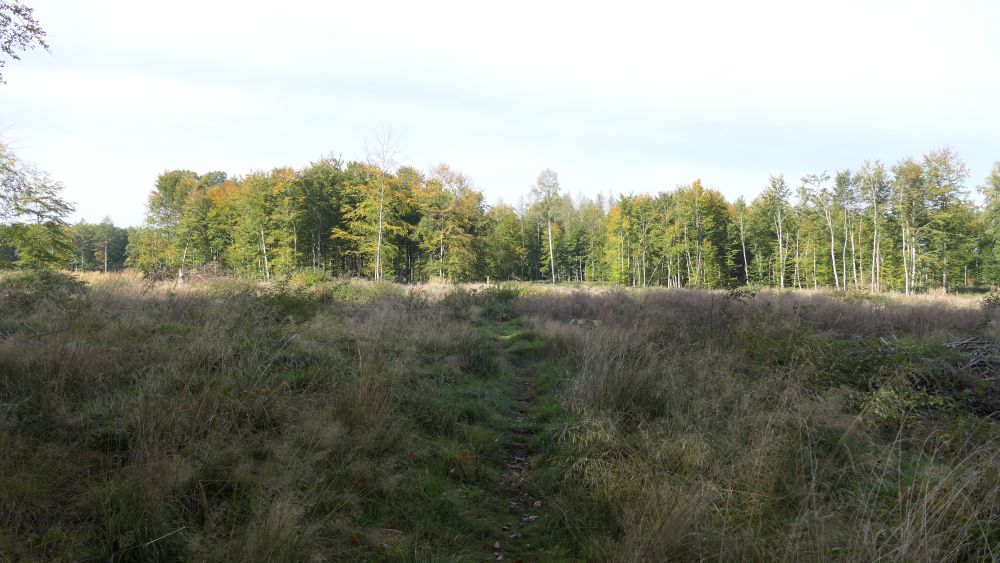 Weserberglandweg