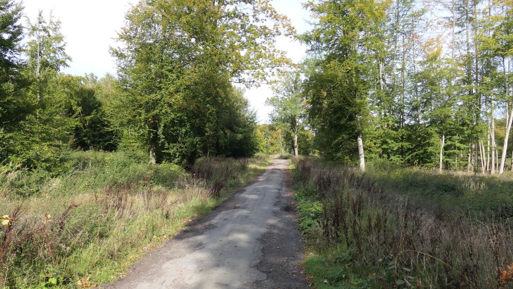 Weserberglandweg