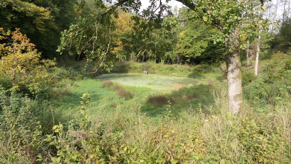Weserberglandweg
