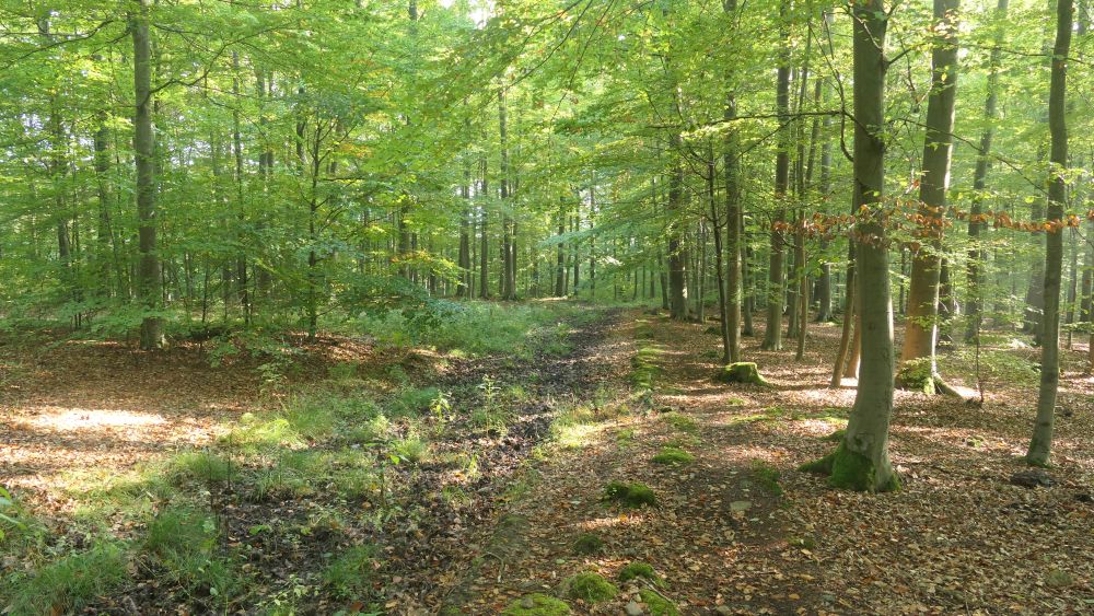 Weserberglandweg