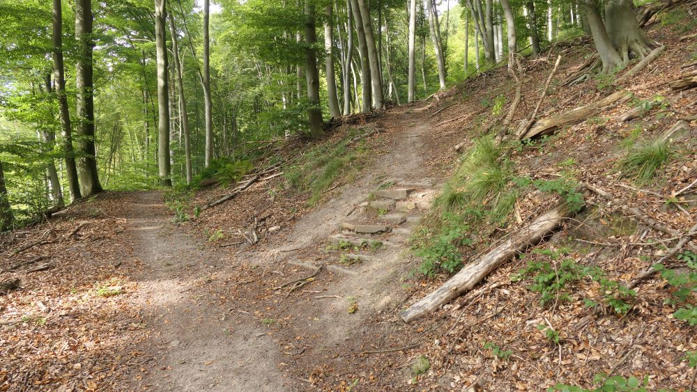 Weserberglandweg