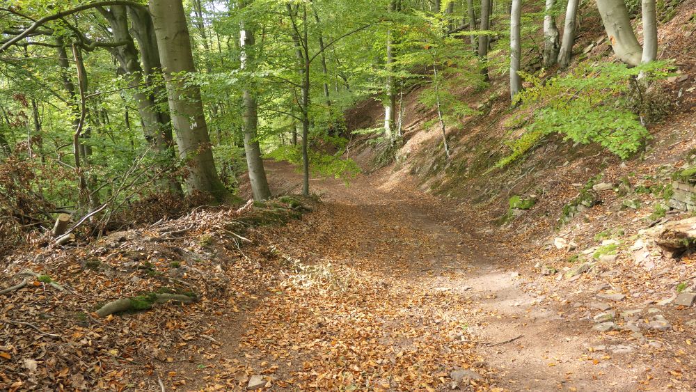 Weserberglandweg