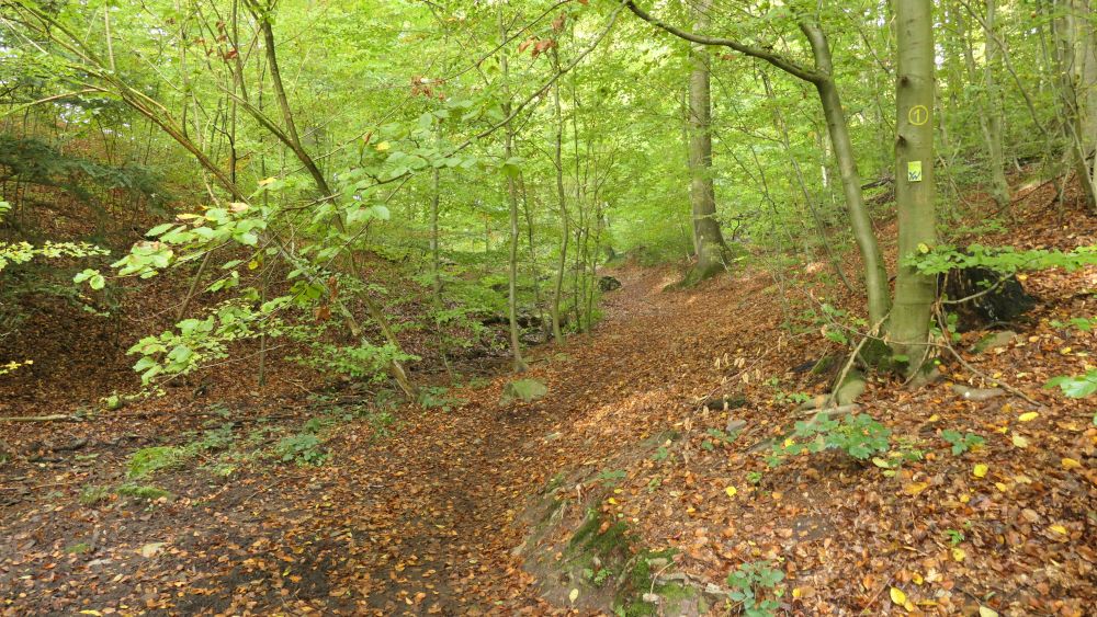 Weserberglandweg