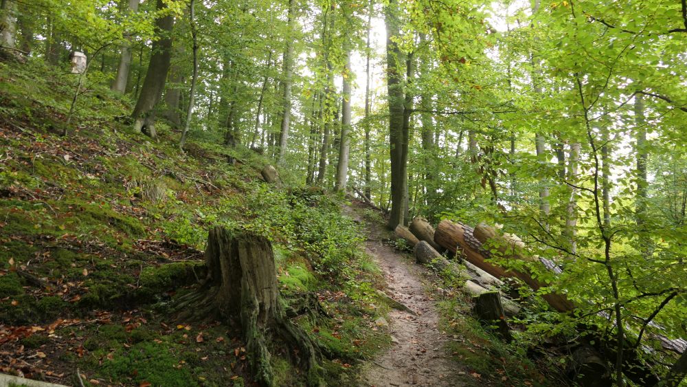 Weserberglandweg