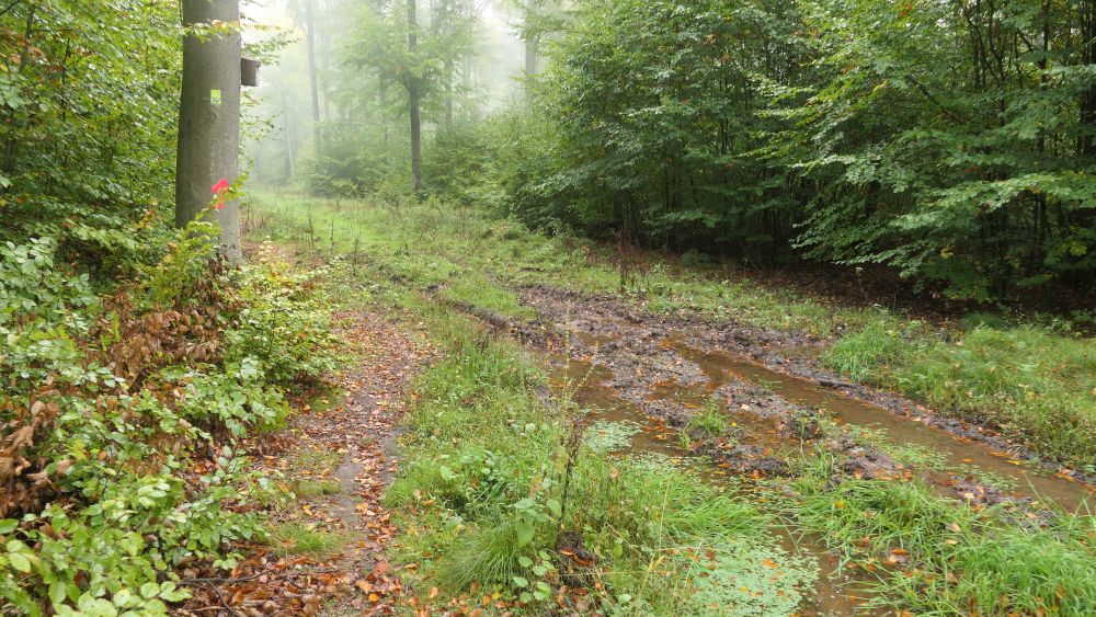 Weserberglandweg